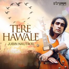 Album cover of Tere Hawale - Single