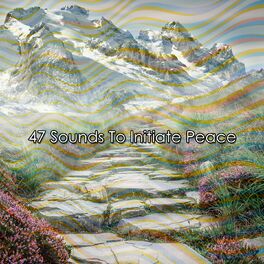 Album cover of 47 Sounds To Initiate Peace