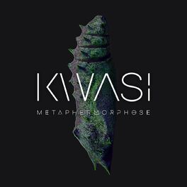 Album cover of Metaphermorphose