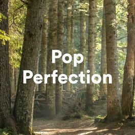 Album cover of Pop Perfection