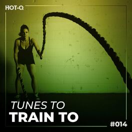 Album cover of Tunes To Train To 014