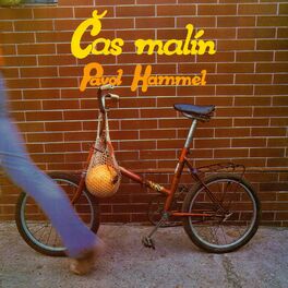 Album cover of Čas malín