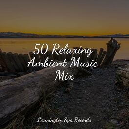 Album cover of 50 Relaxing Ambient Music Mix