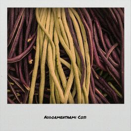 Album cover of Addormentarmi Cosi