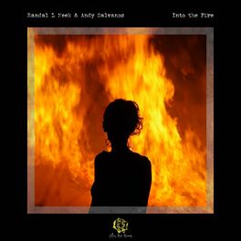 Album cover of Into the Fire