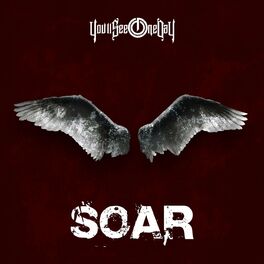 Album cover of Soar