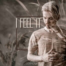 Album cover of I Feel It