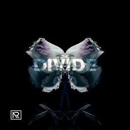 Album cover of The Divide