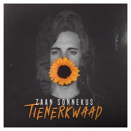 Album cover of Tienerkwaad