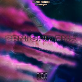 Album cover of Crni Spid (feat. Ludi Srbi) [RMX]