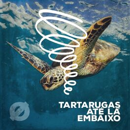 Album cover of Tartarugas Até Lá Embaixo