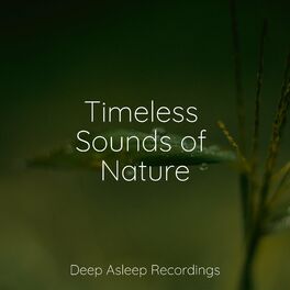 Album cover of Timeless Sounds of Nature