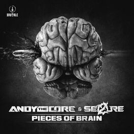 Album cover of Pieces of brain