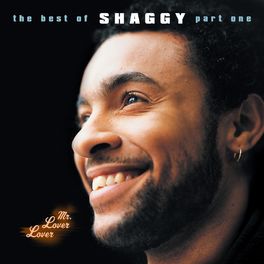 Album cover of Mr Lover Lover - The Best Of Shaggy... (Part 1)