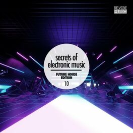 Album cover of Secrets of Electronic Music - Future House Edition #10