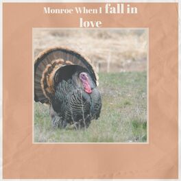 Album cover of Monroe When I fall in love