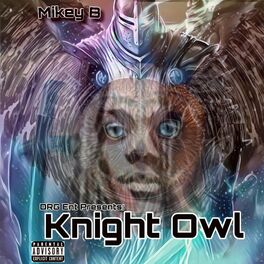 Album cover of Knight Owl