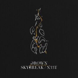 Album cover of Drown (Skybreak, N33T Remix)