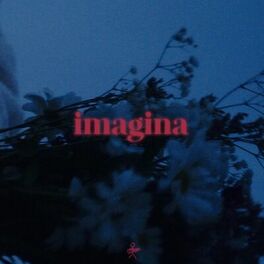 Album cover of Imagina