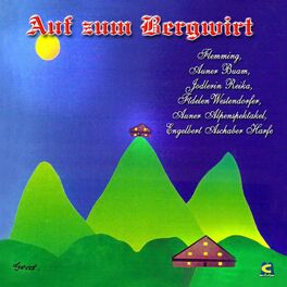 Album cover of Auf zum Bergwirt