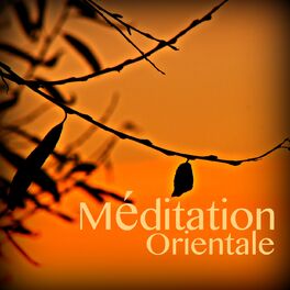 Ensemble de Musique Zen Relaxante - Esprit méditatif ft. Trouble Sleeping  Music Universe MP3 Download & Lyrics