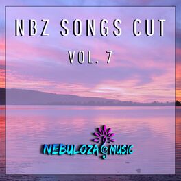 Album cover of Nbz Songs Cut, Vol. 7