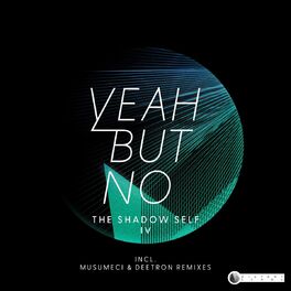 Album cover of The Shadow Self IV
