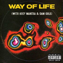 Album cover of WAY OF LIFE