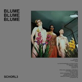 Album cover of BLUME