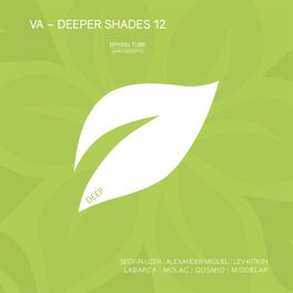 Album cover of Deeper Shades 12