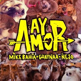 Album cover of Ay Amor