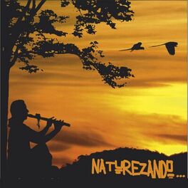 Album cover of Naturezando
