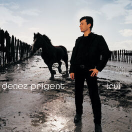 Album cover of Irvi