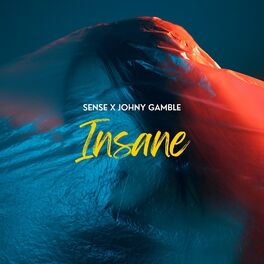 Album cover of Insane