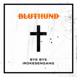 Album cover of Bye Bye Irokesengang