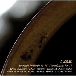 Album cover of Dvorak: Serenade for Winds, Op. 44 & String Quartet No. 13, Op. 106 (Live recordings from Spannungen Festival 2008)