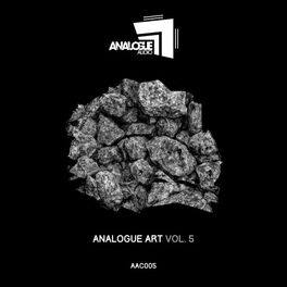 Album cover of Analogue Art, Vol. 5