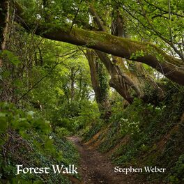 Album cover of Forest Walk