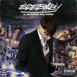 Album cover of IL RITORNO DEL VERO
