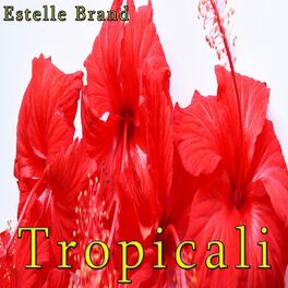 Album cover of Tropicali (Remake Remix to Darius & Finlay)