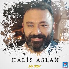 Album cover of Zay Oldu