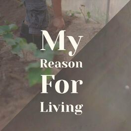 Album cover of My Reason For Living