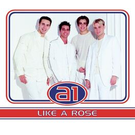 Album cover of Like A Rose