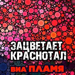Album cover of Зацветает краснотал