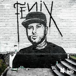 Album cover of Fénix
