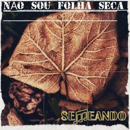 Album cover of Não Sou Folha Seca