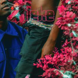 Album cover of Ileke