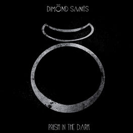 Album cover of Prism in the Dark