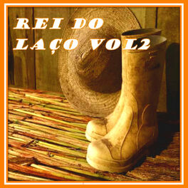 Album cover of Rei do Laço Vol. 2