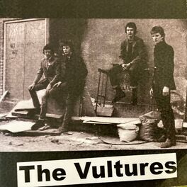 Album cover of The Vultures